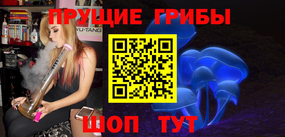 Галлюциногенные грибы Psilocybine cubensis  Вход с VPN  Ярославль 