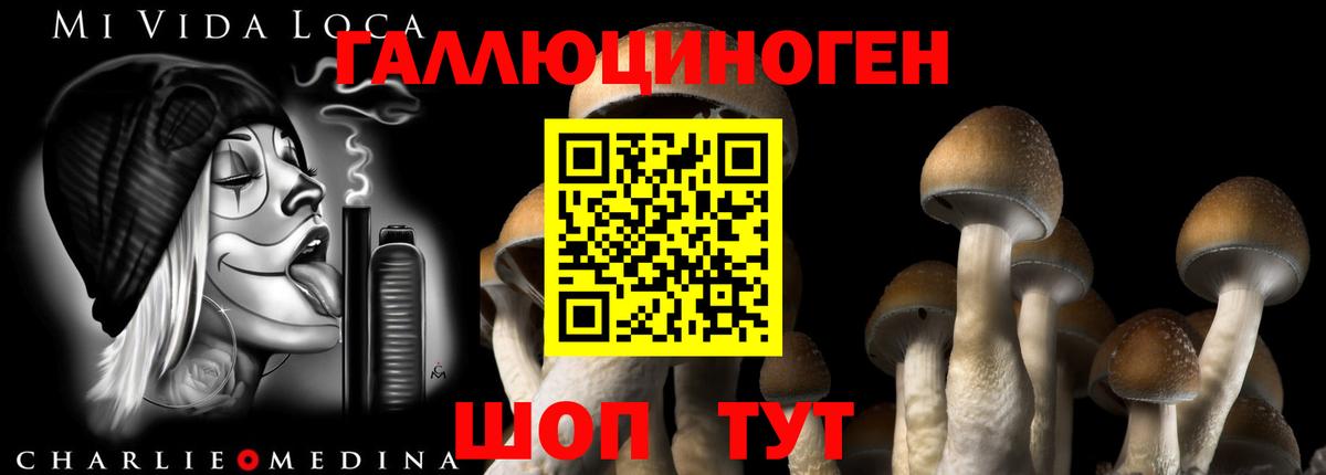 Галлюциногенные грибы мухоморы Ярославль